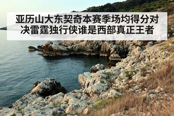 亚历山大东契奇本赛季场均得分对决雷霆独行侠谁是西部真正王者